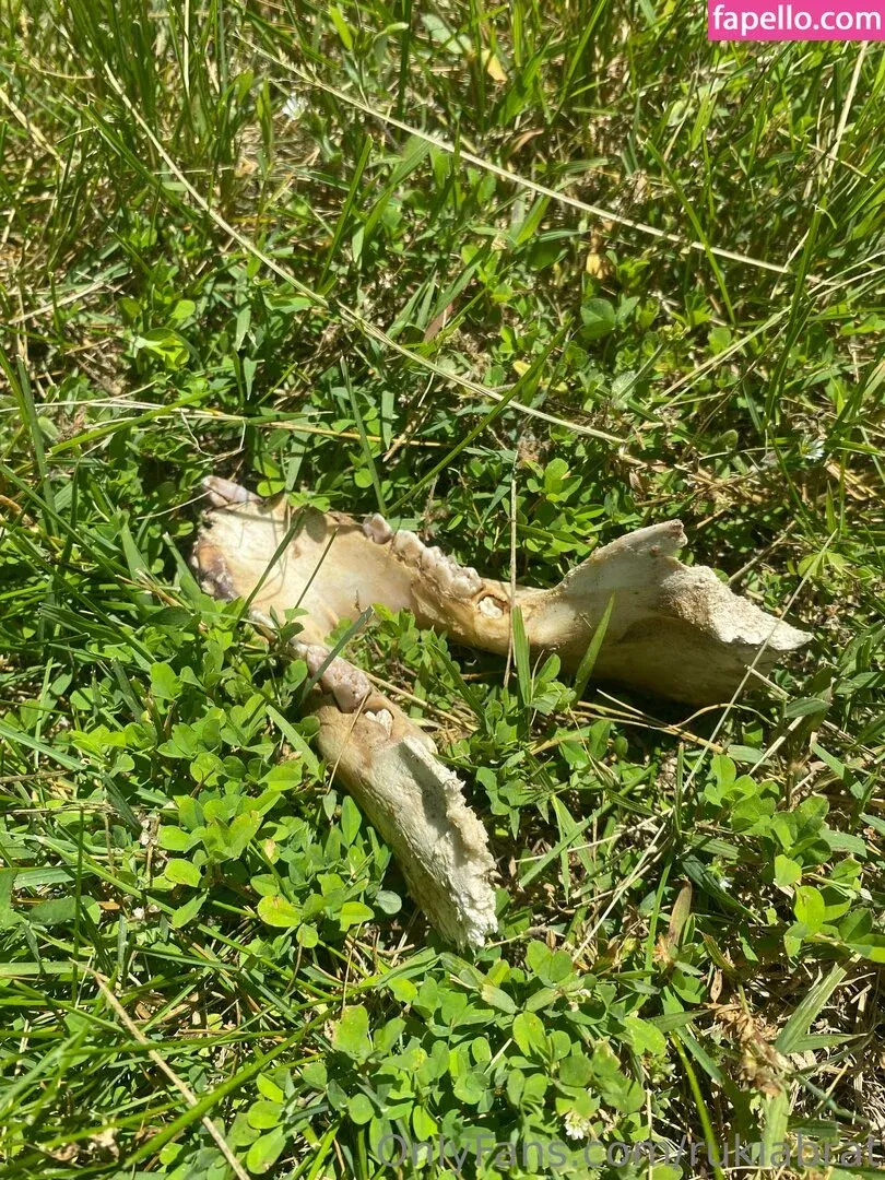 rukiabrat Onlyfans Photo Gallery 