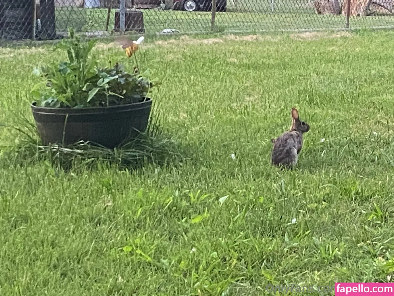 rukiabrat Onlyfans Photo Gallery 