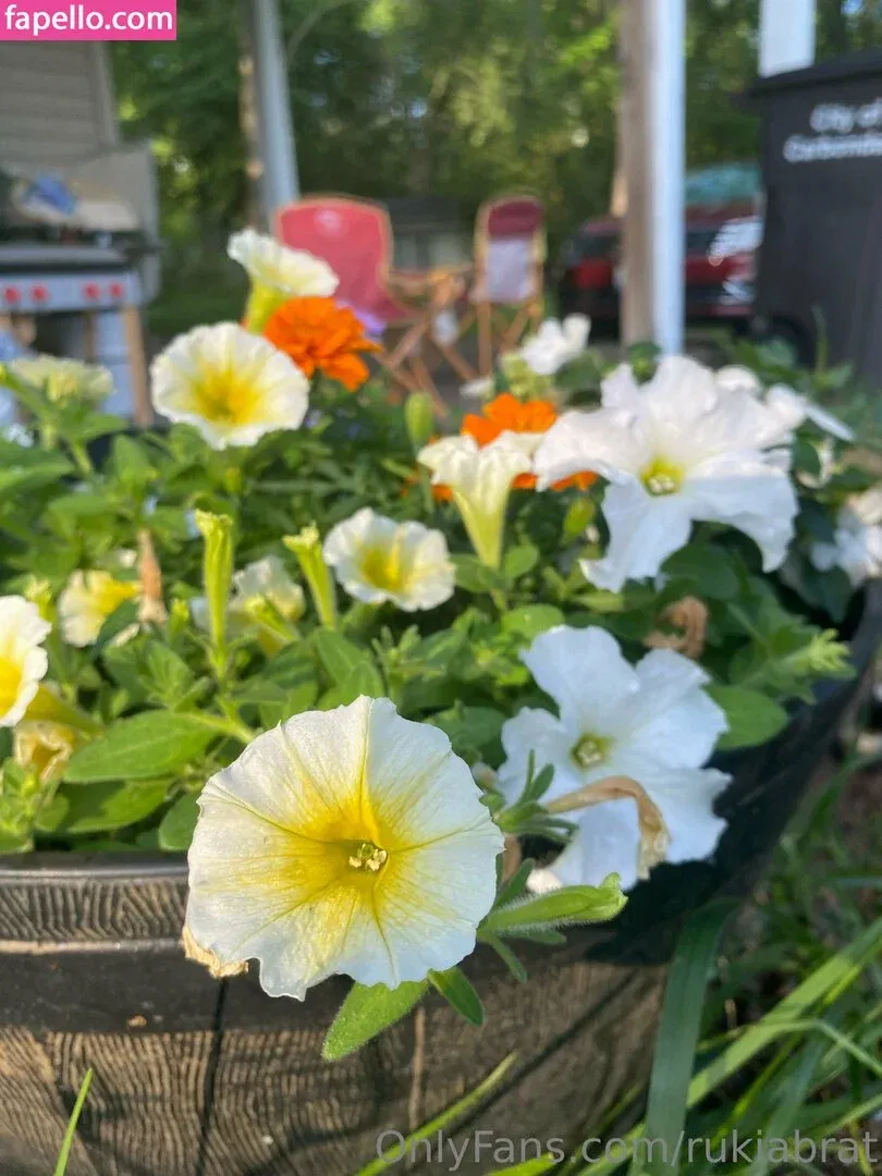 rukiabrat Onlyfans Photo Gallery 