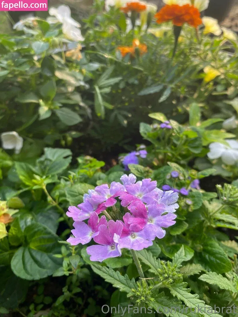 rukiabrat Onlyfans Photo Gallery 