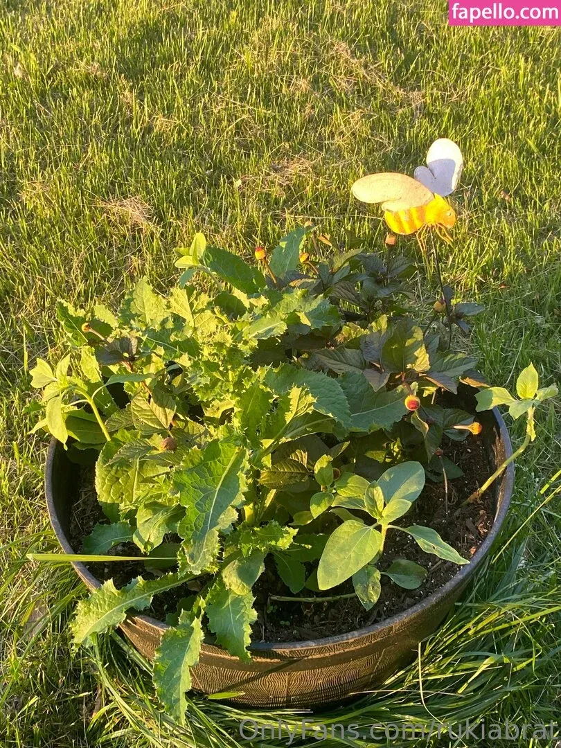 rukiabrat Onlyfans Photo Gallery 