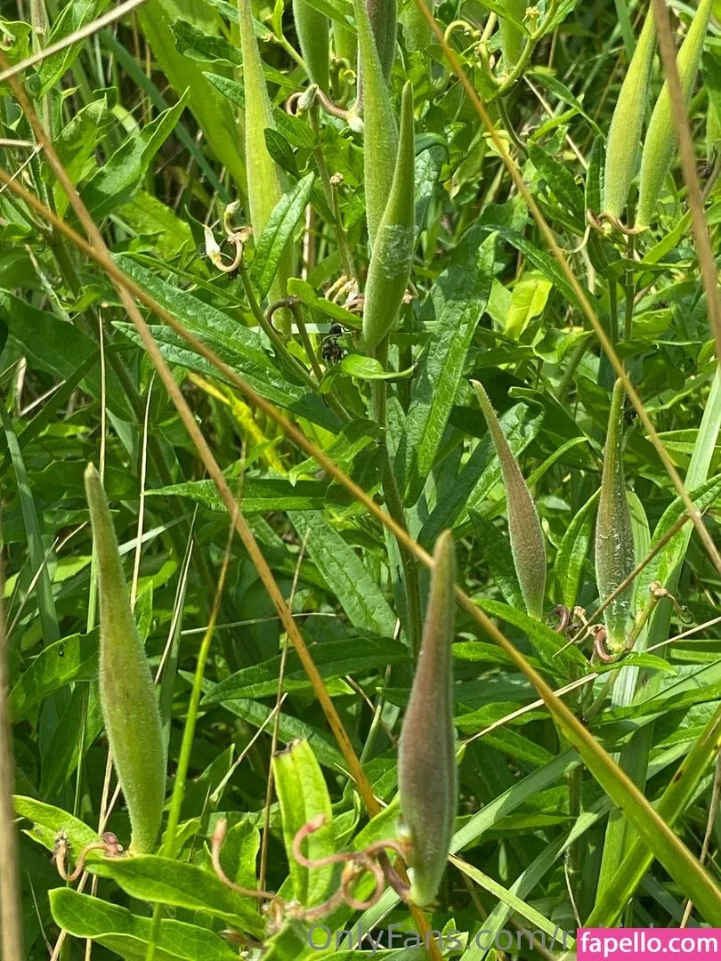 rukiabrat Onlyfans Photo Gallery 