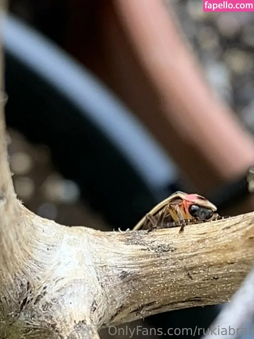 rukiabrat Onlyfans Photo Gallery 