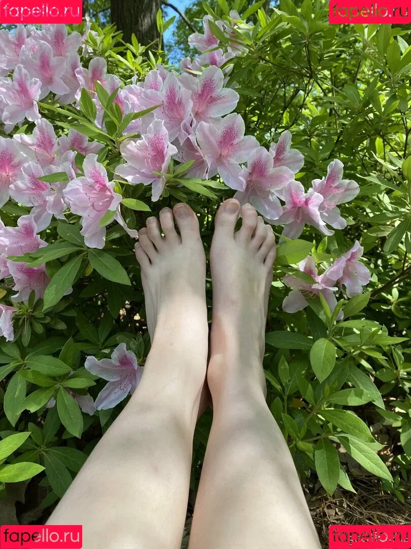 blissfulellie Onlyfans Photo Gallery 