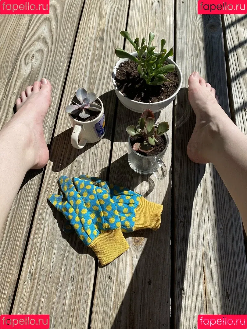 blissfulellie Onlyfans Photo Gallery 