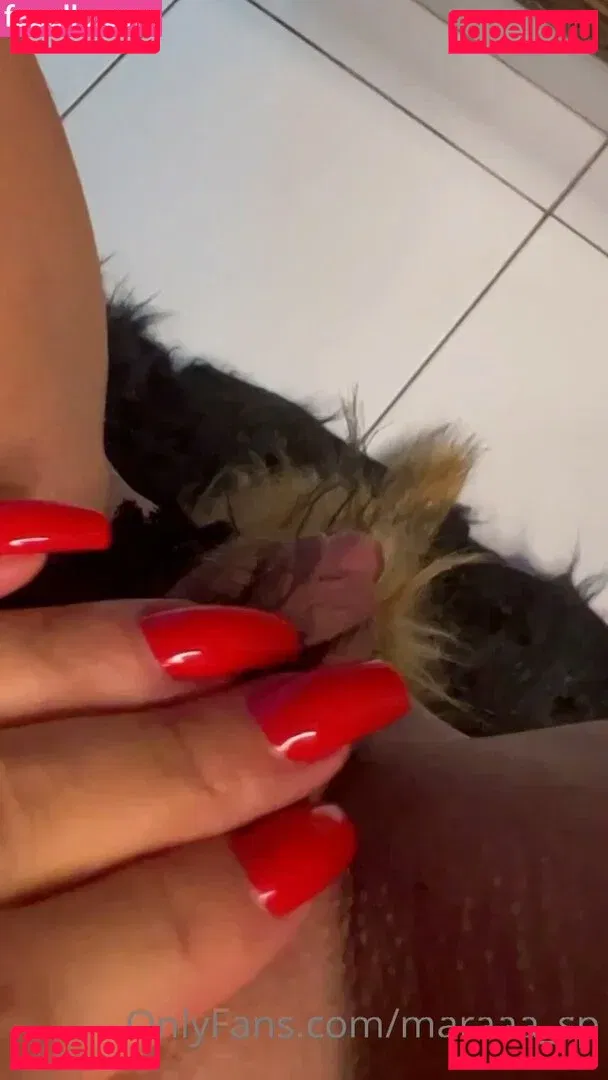 Mara Oliveira Onlyfans Photo Gallery 