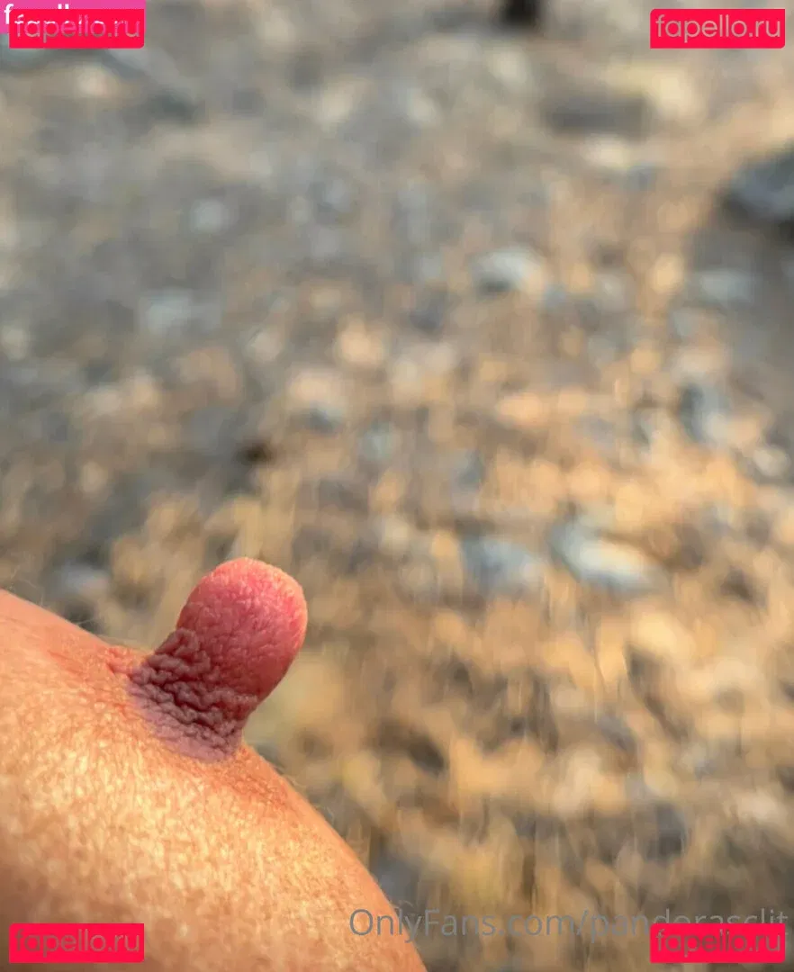 Pandorasclit Onlyfans Photo Gallery 