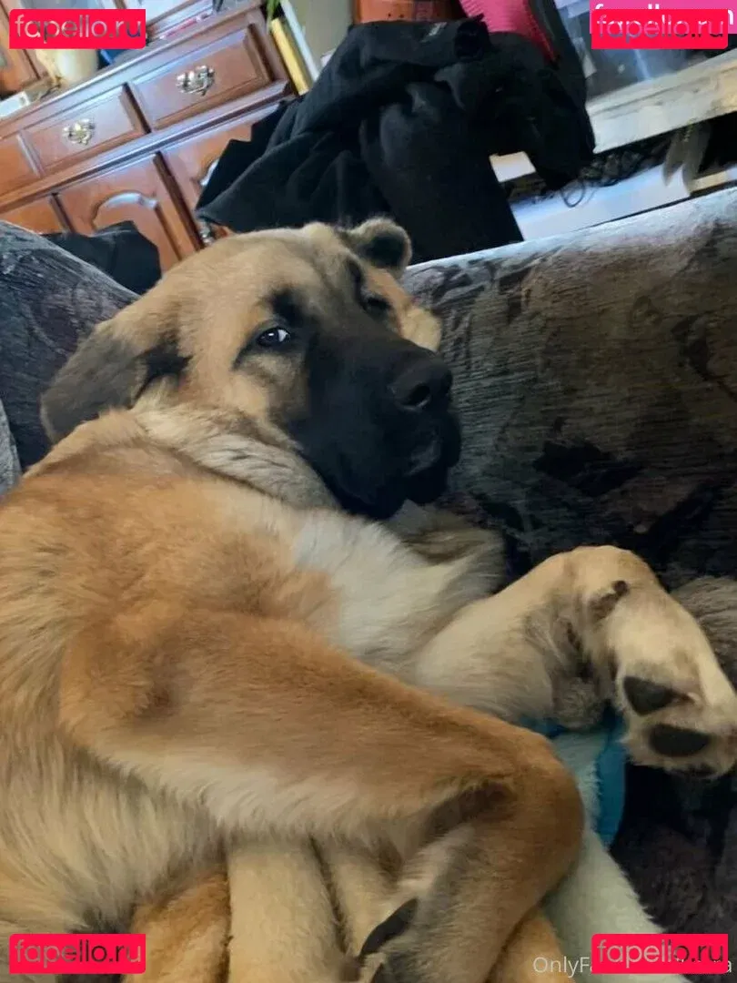 Karra Onlyfans Photo Gallery 