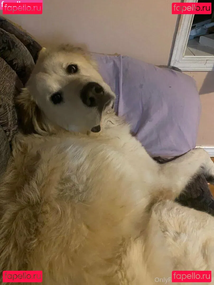 Karra Onlyfans Photo Gallery 