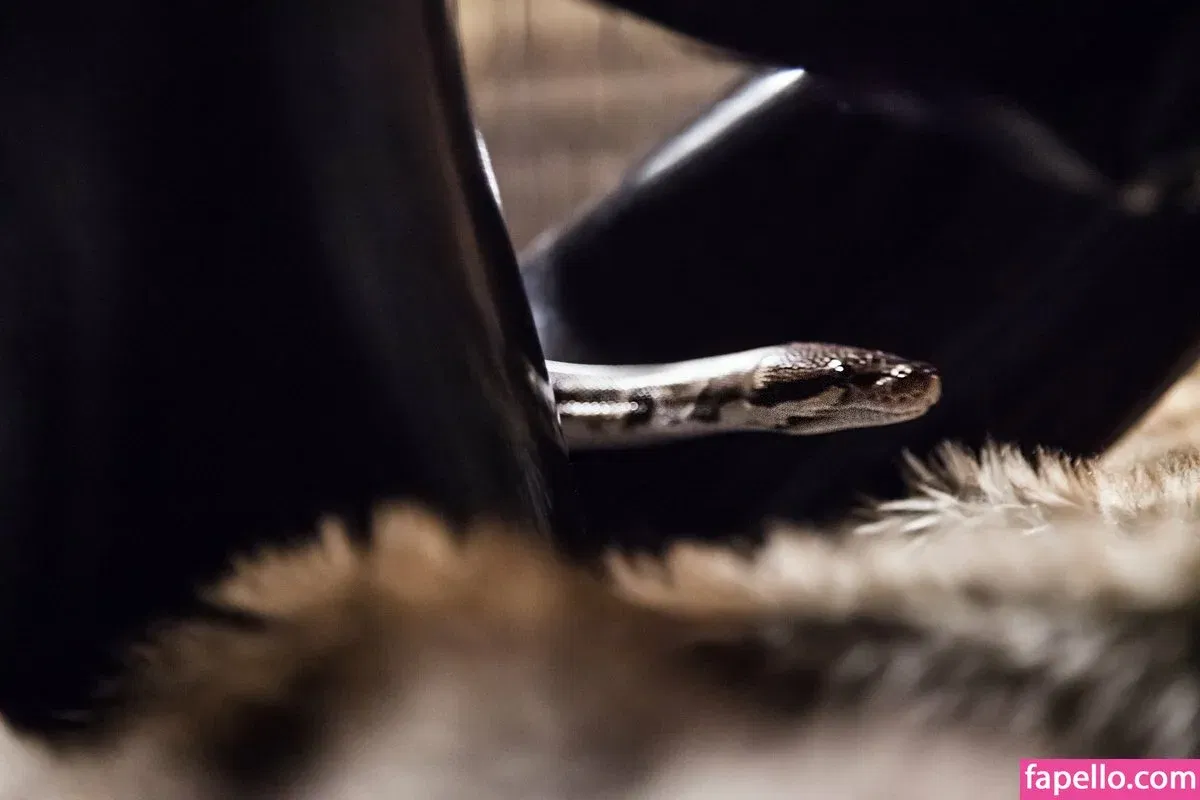 Rubberragdoll Onlyfans Photo Gallery 