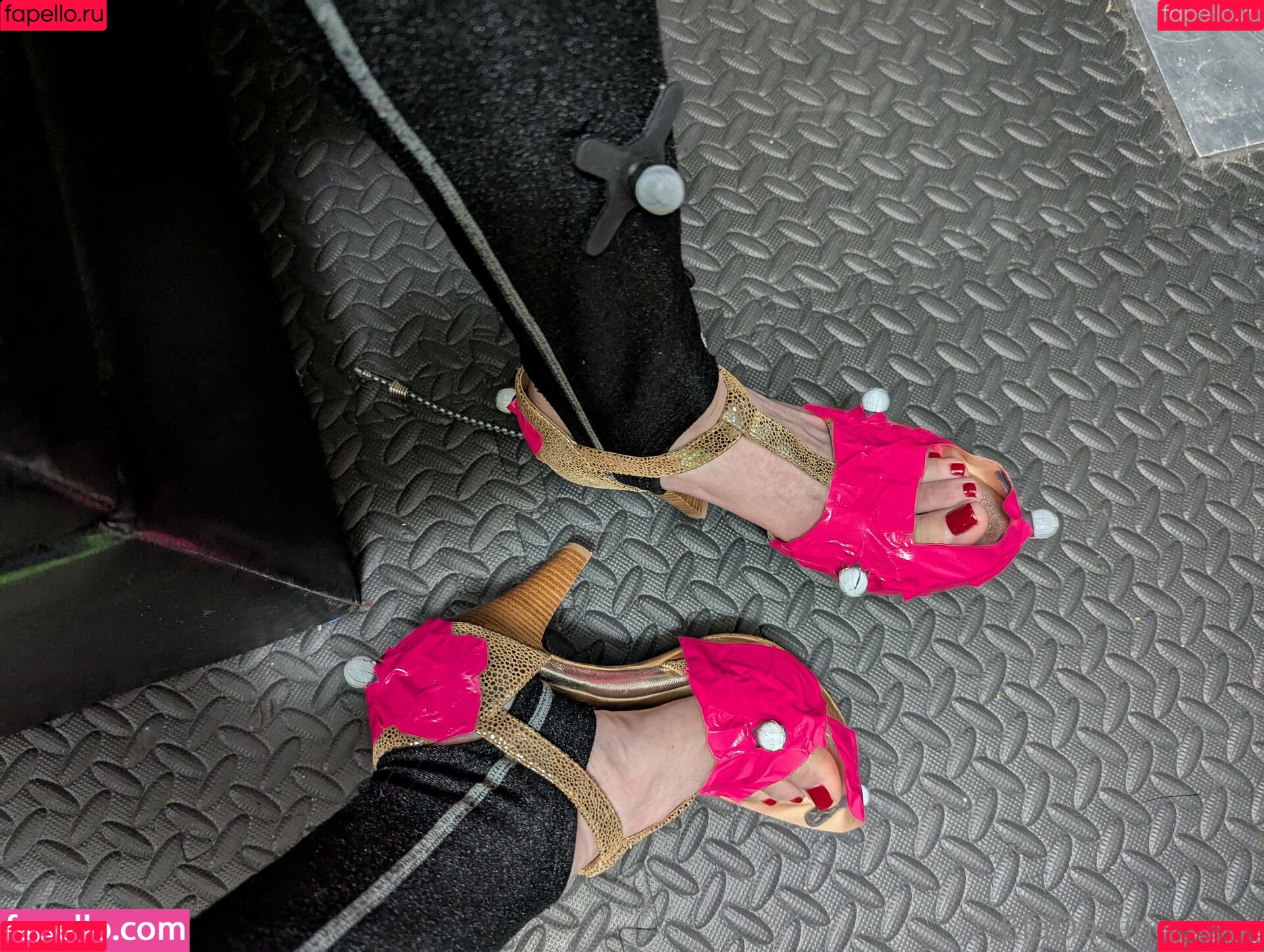 eladarling Onlyfans Photo Gallery 