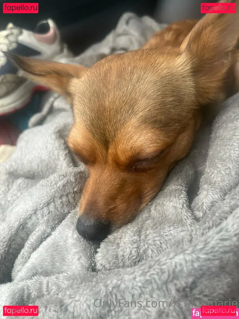 xchloemarie Onlyfans Photo Gallery 