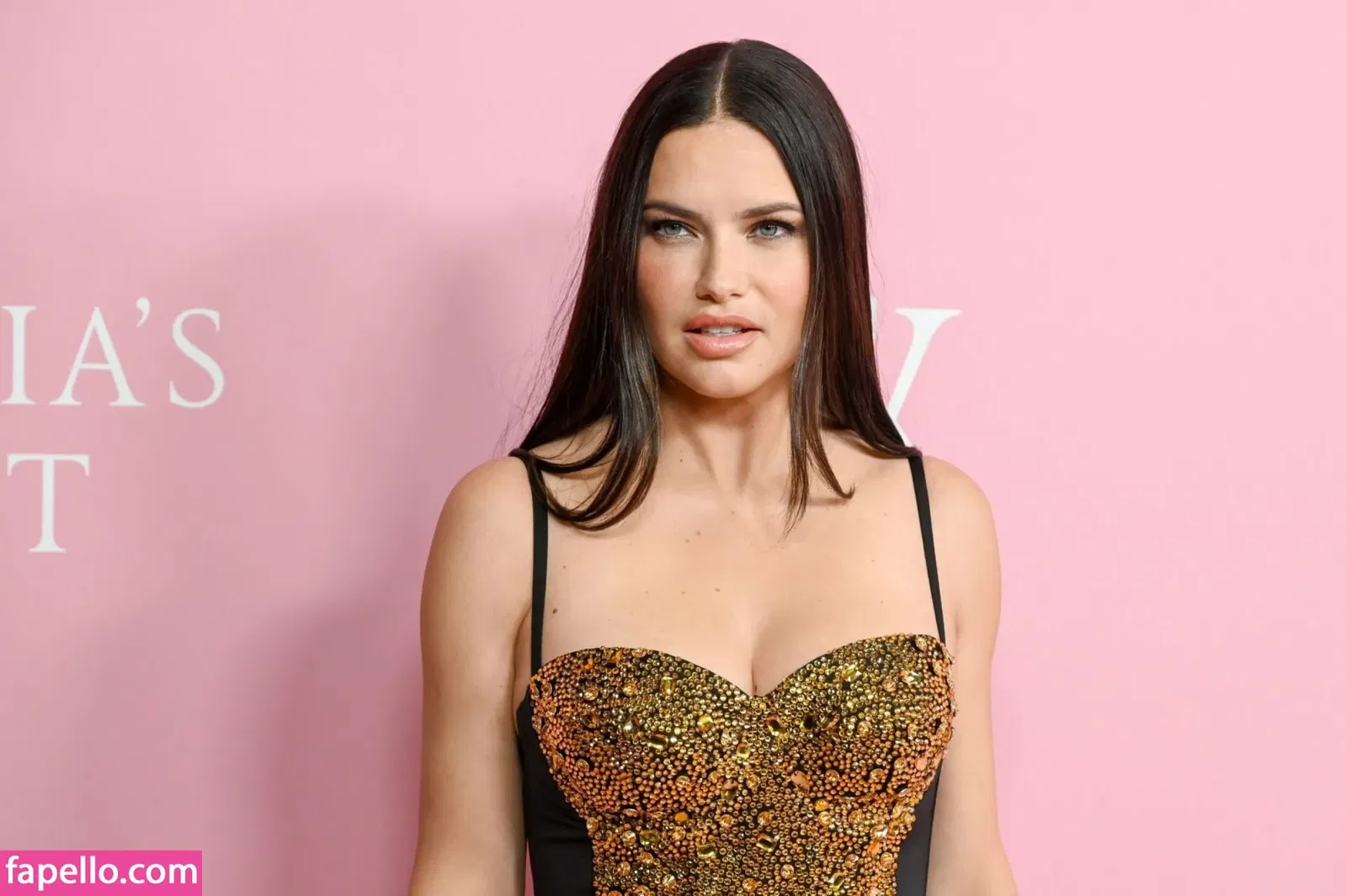 Adriana Lima Onlyfans Photo Gallery 