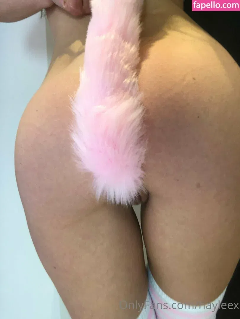 Hayleex Onlyfans Photo Gallery 