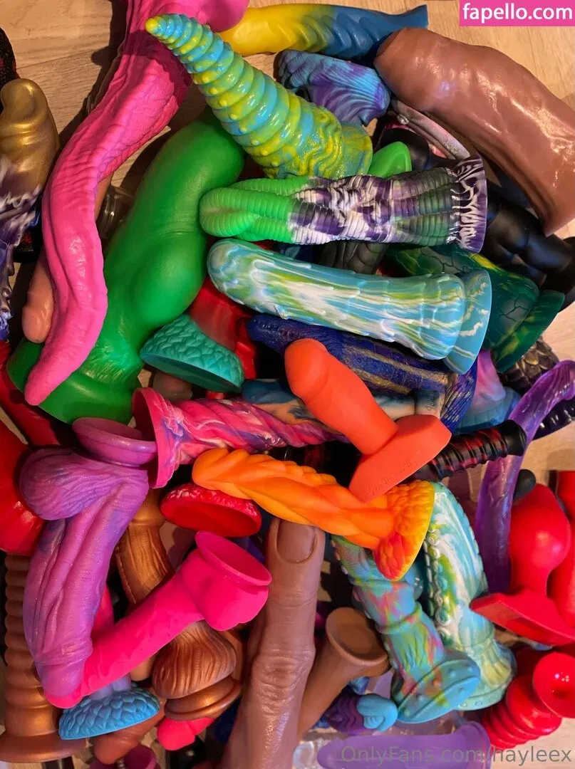 Hayleex Onlyfans Photo Gallery 