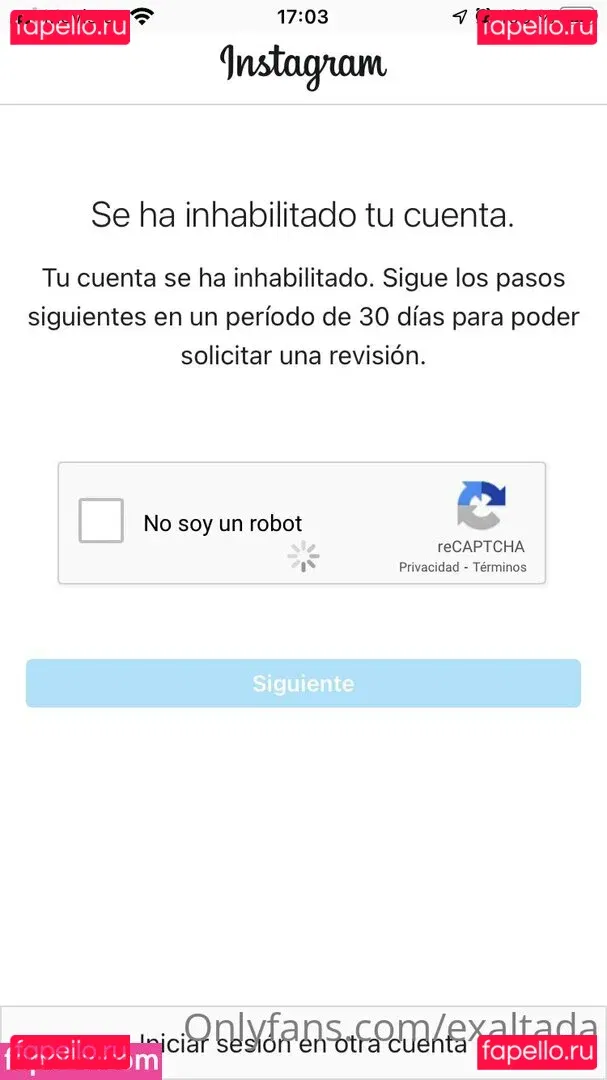 exaltada Onlyfans Photo Gallery 