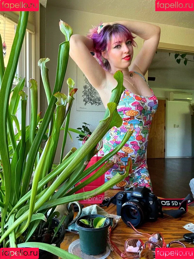 lilpinkalien Onlyfans Photo Gallery 