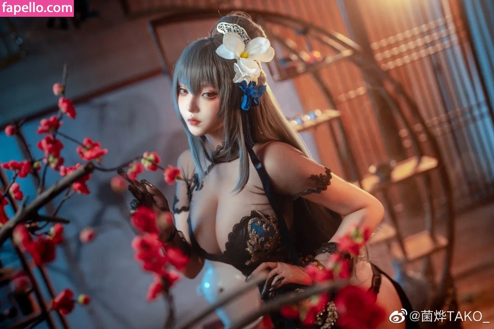 Takomayuyi Onlyfans Photo Gallery 