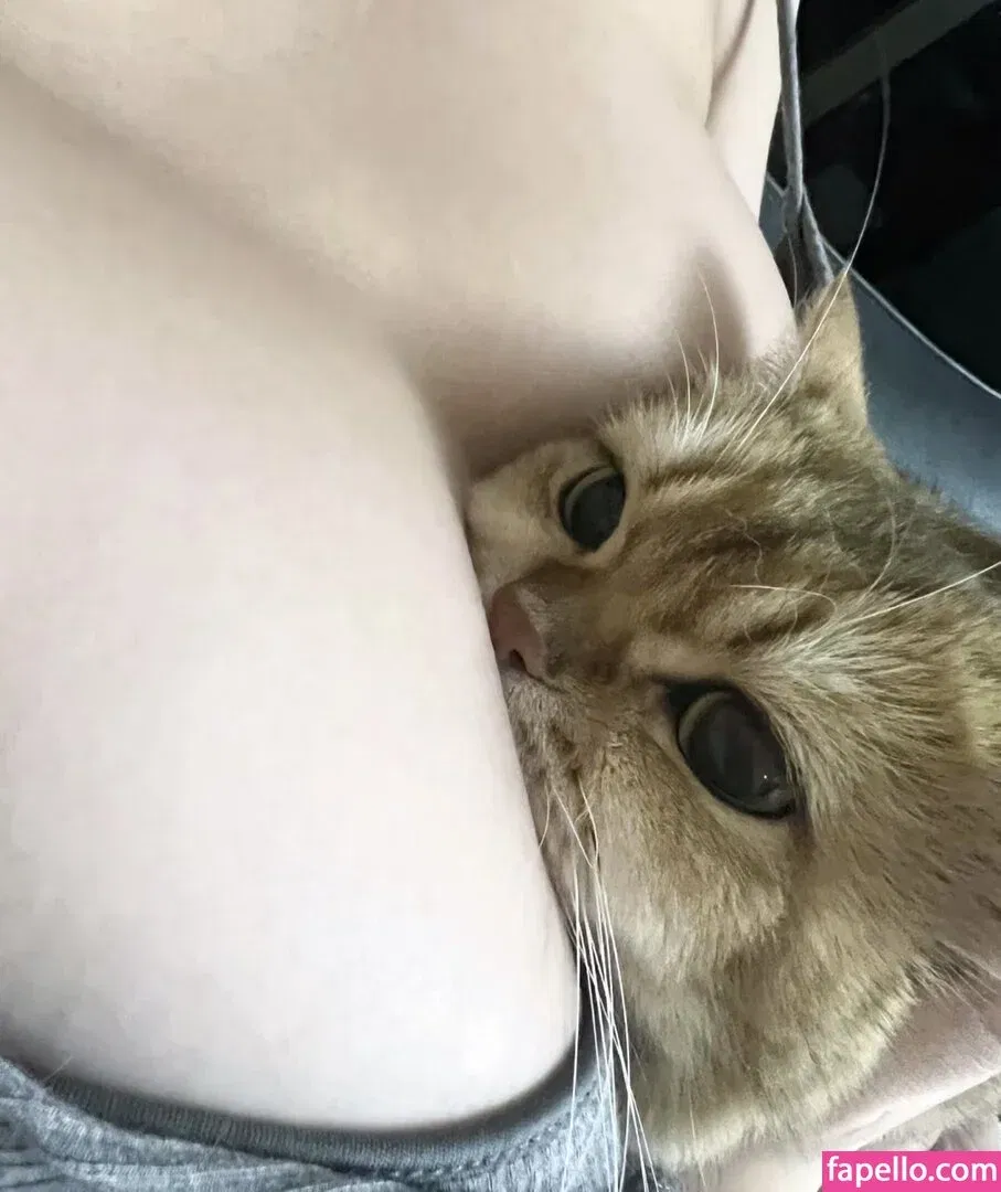 Takomayuyi Onlyfans Photo Gallery 