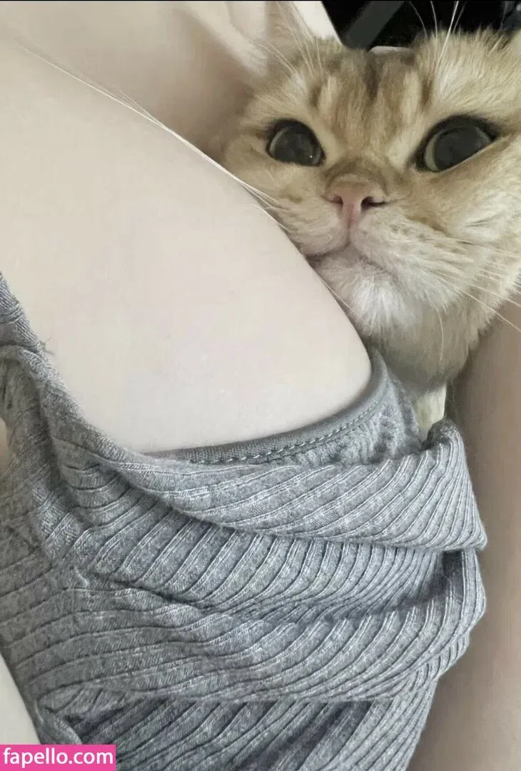 Takomayuyi Onlyfans Photo Gallery 