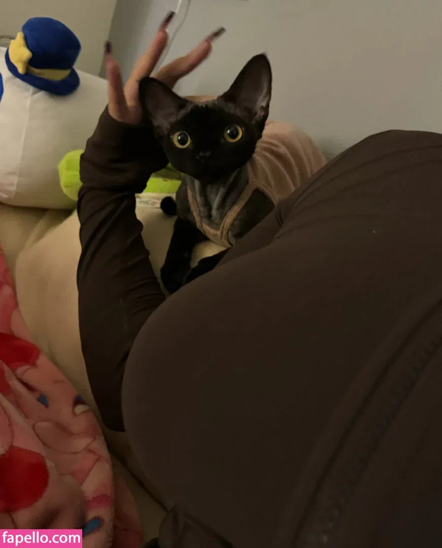 Takomayuyi Onlyfans Photo Gallery 