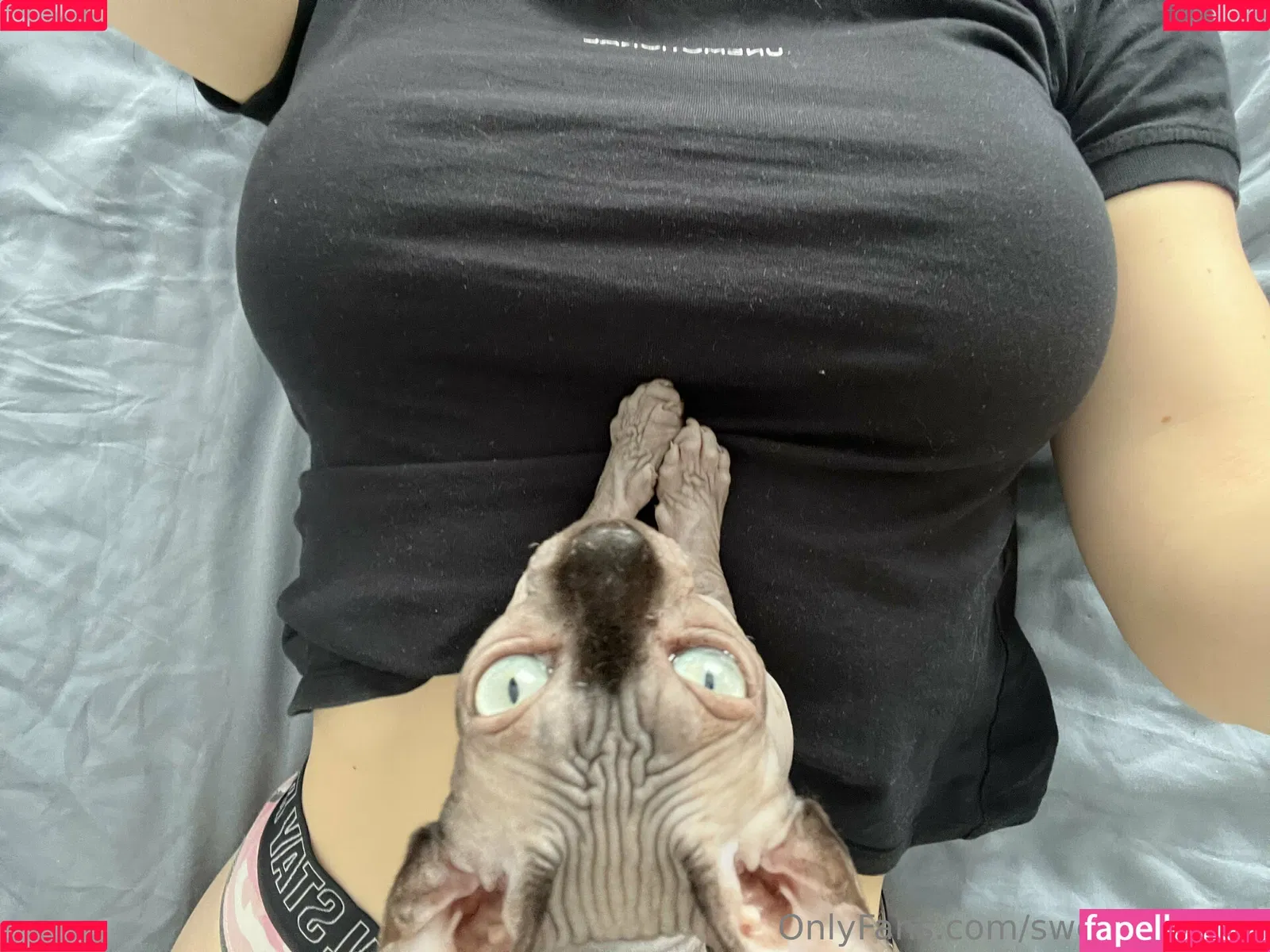 Sweetiefox_of Onlyfans Photo Gallery 