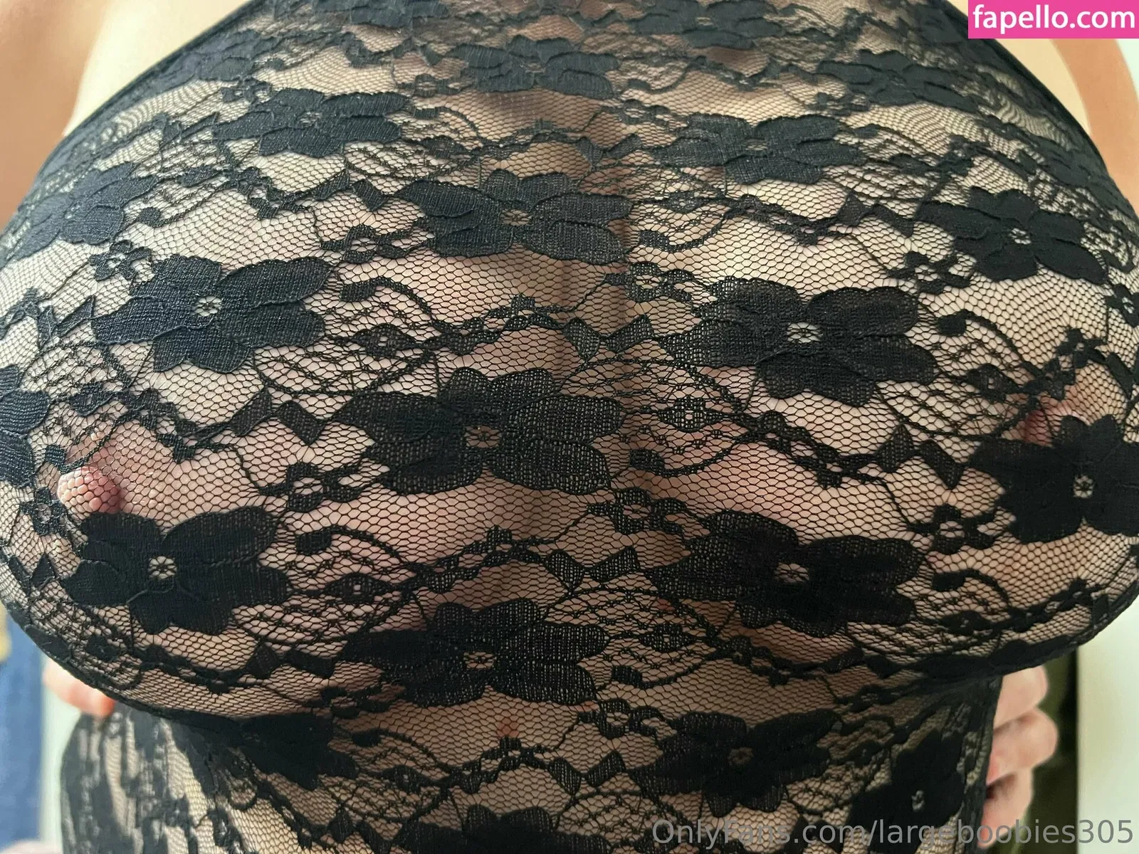 largeboobies305 Onlyfans Photo Gallery 