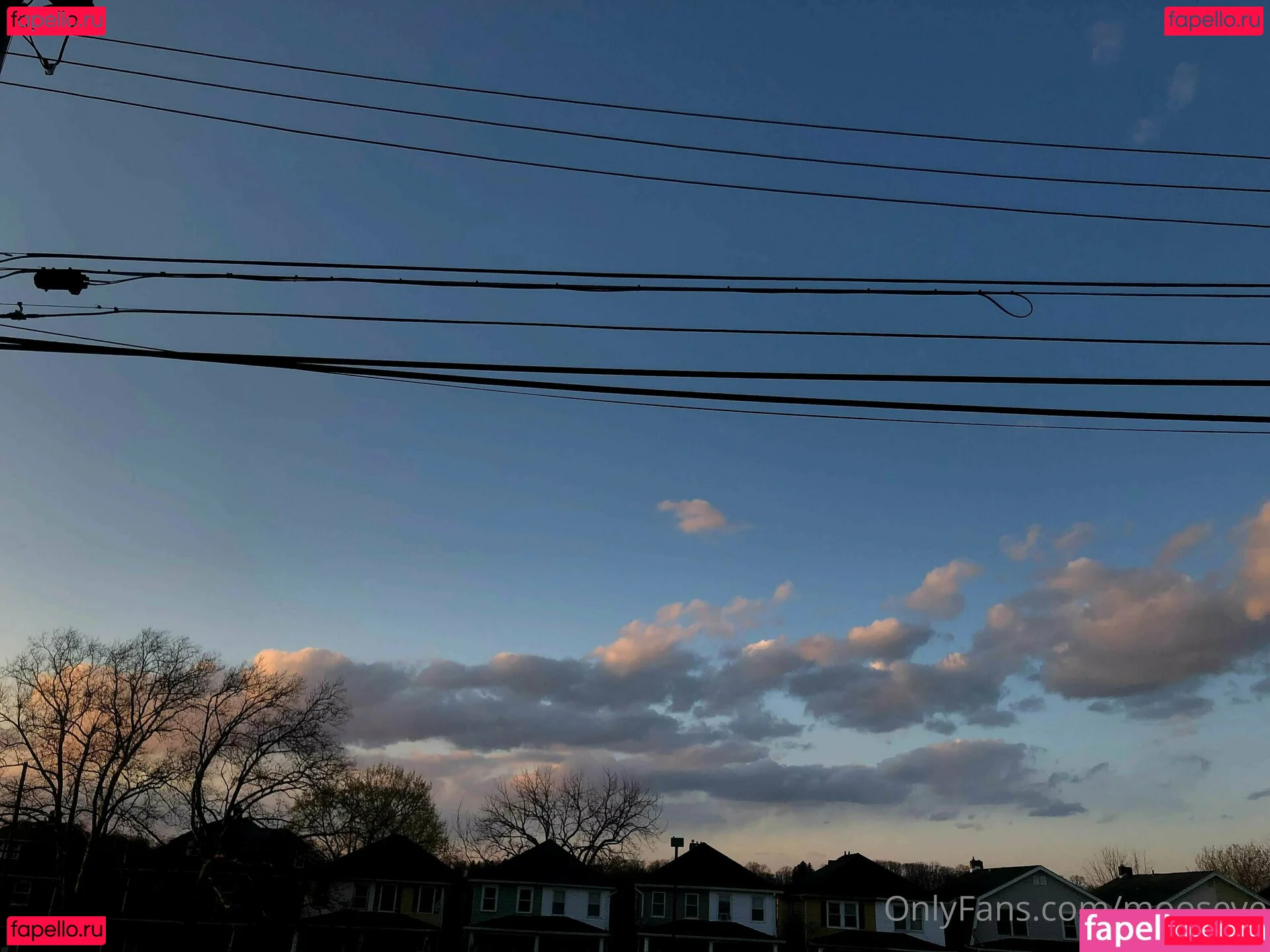 mooseve Onlyfans Photo Gallery 