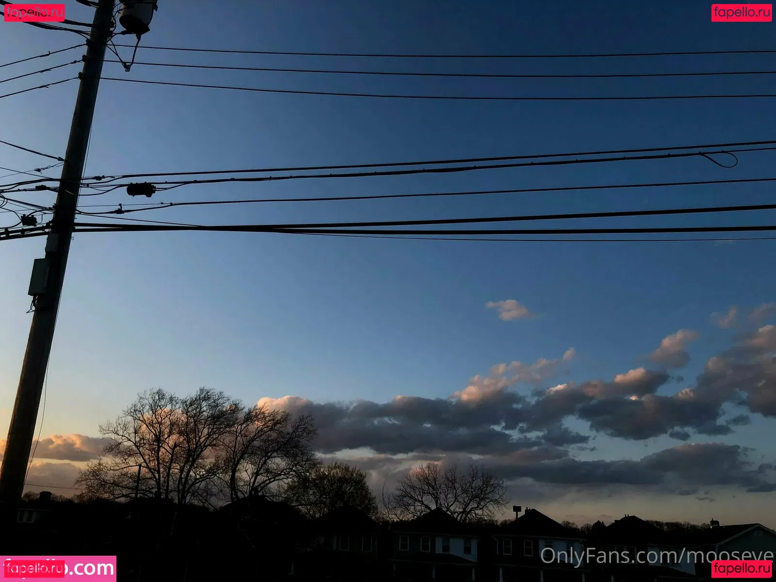 mooseve Onlyfans Photo Gallery 