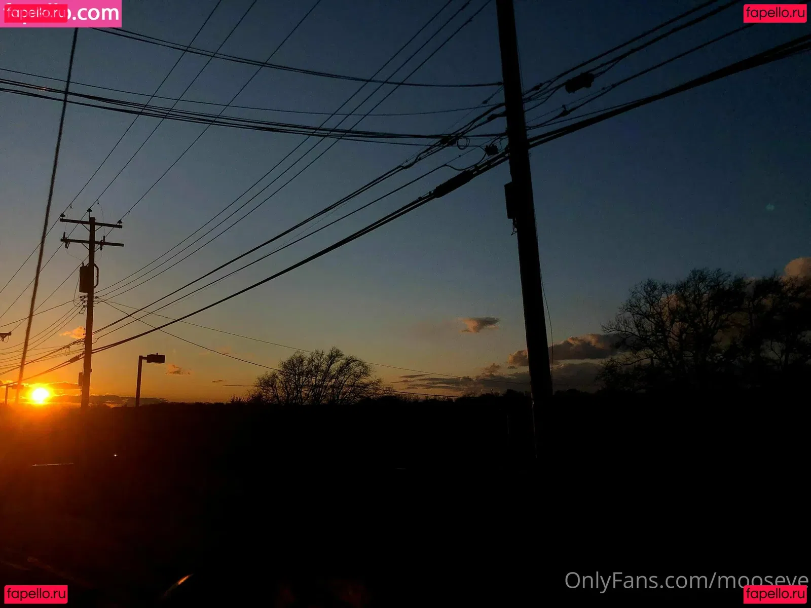 mooseve Onlyfans Photo Gallery 