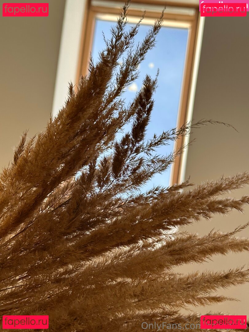 milapixie / milapixievip Onlyfans Photo Gallery 