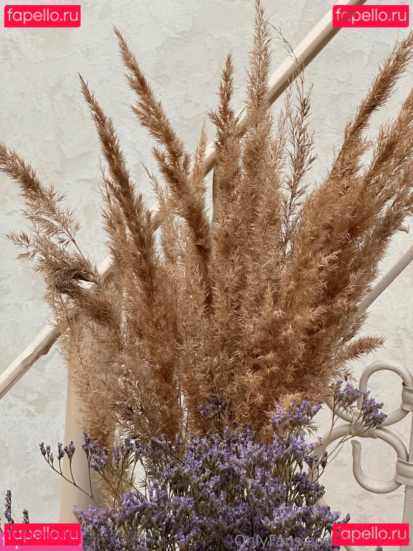 milapixie / milapixievip Onlyfans Photo Gallery 