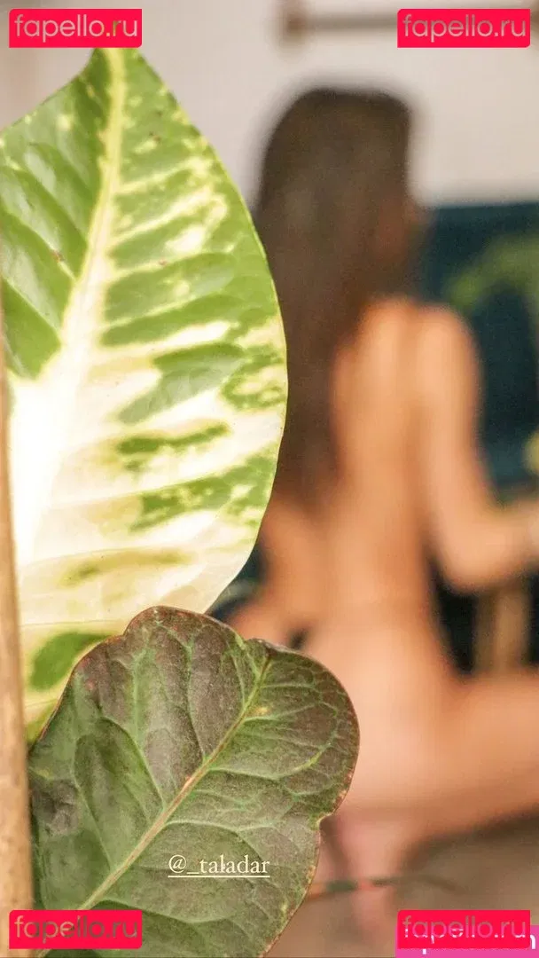 Tal Adar Onlyfans Photo Gallery 