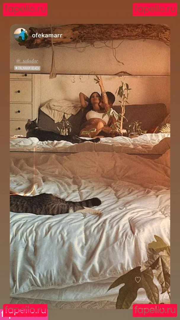 Tal Adar Onlyfans Photo Gallery 