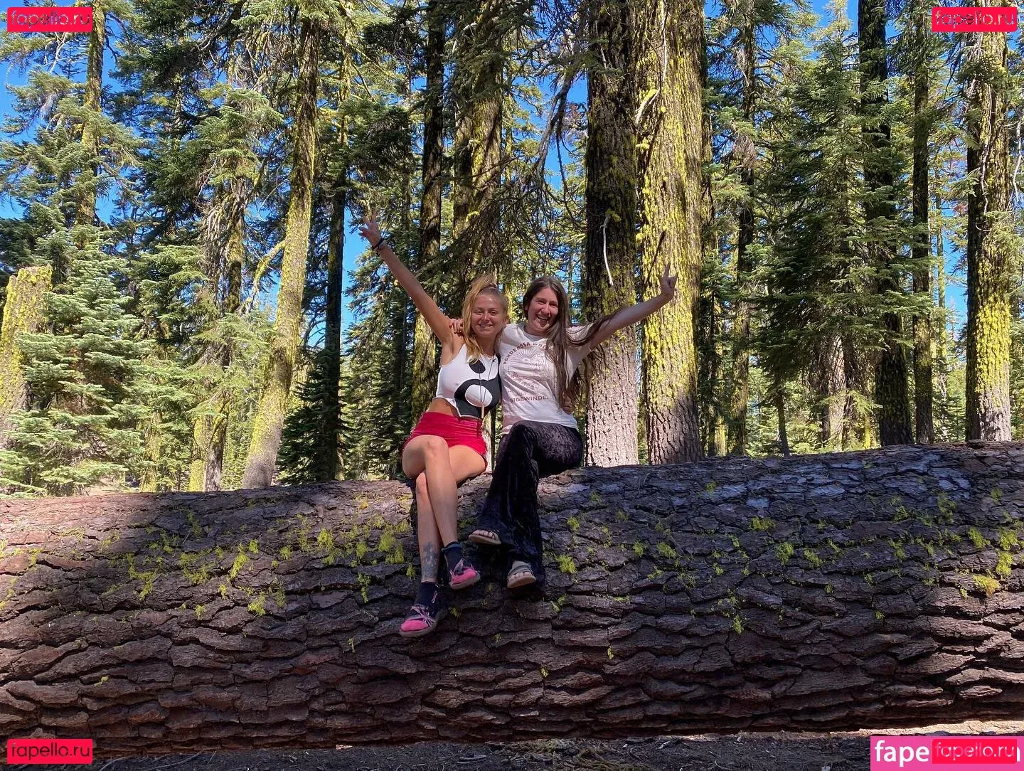 Sunkitty Onlyfans Photo Gallery 