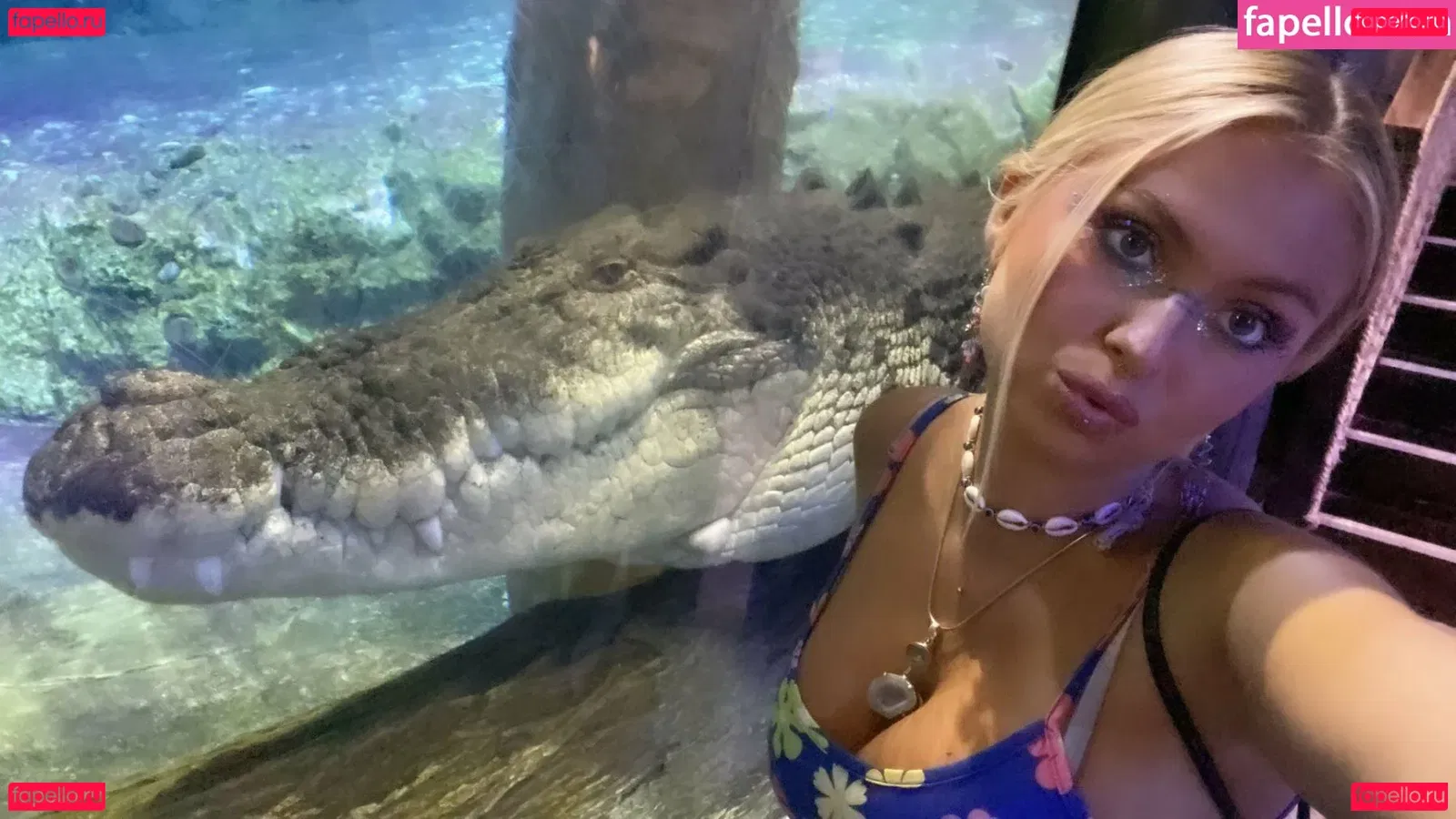 Sunkitty Onlyfans Photo Gallery 