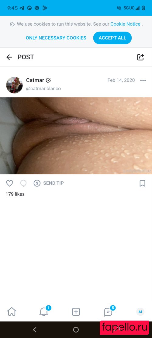 cataleya.x79 Nude Onlyfans Photo 8