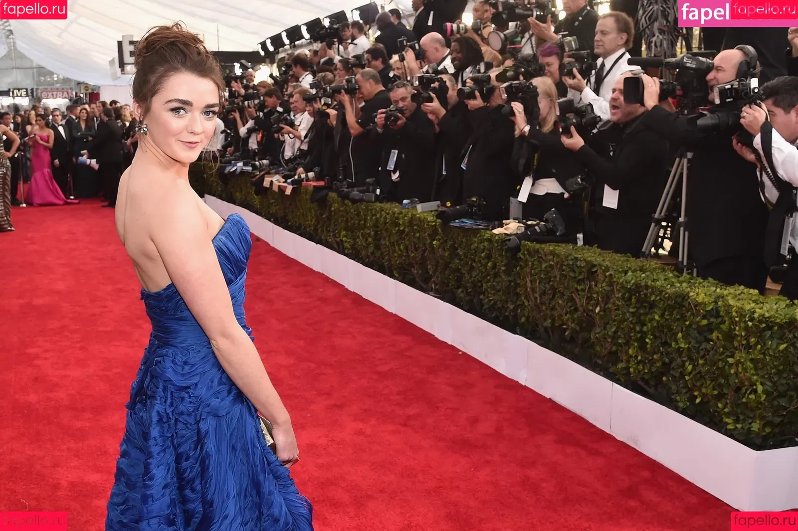 Maisie Williams Onlyfans Photo Gallery 