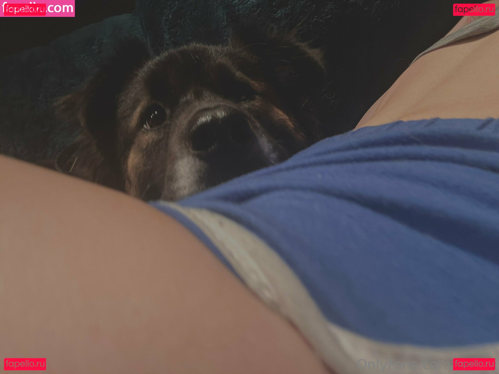 ghosti / ghosti2k22 / ghosti2k23 Onlyfans Photo Gallery 