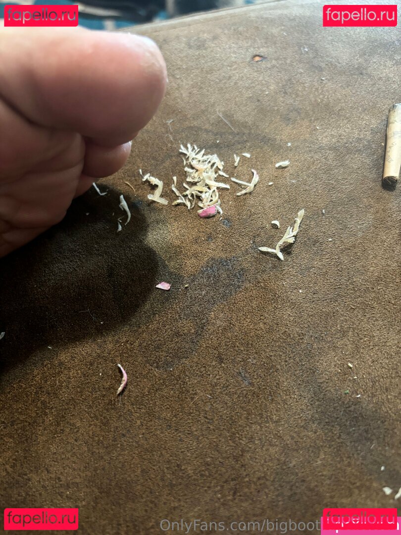 bigbootypantiesxo Onlyfans Photo Gallery 