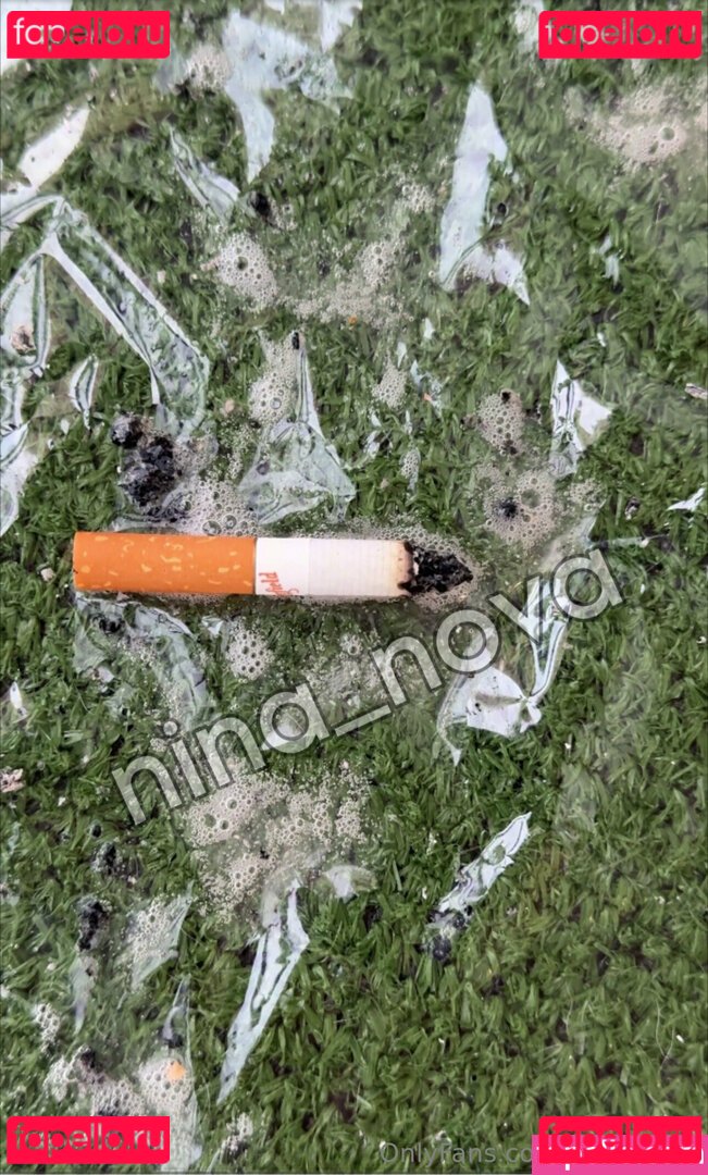 nina_nova / ninanova_xoxo Onlyfans Photo Gallery 