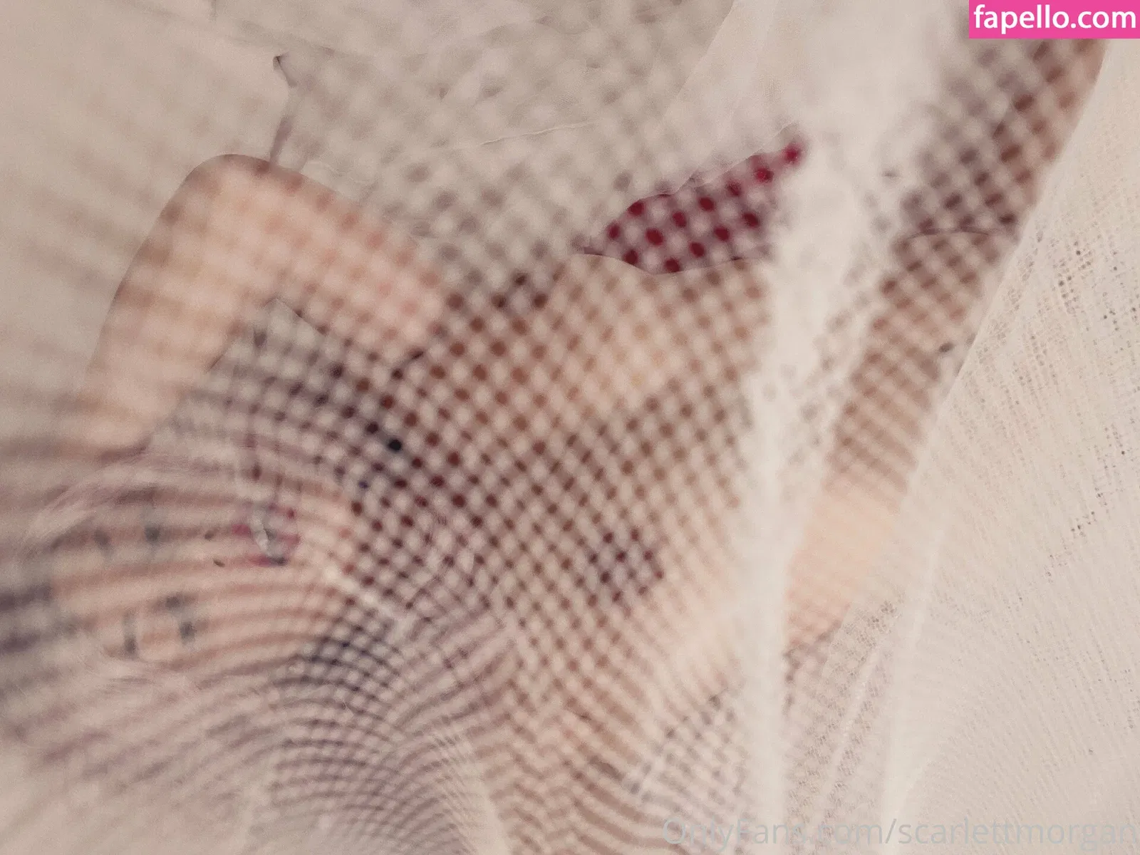 Scarlett Morgan Onlyfans Photo Gallery 