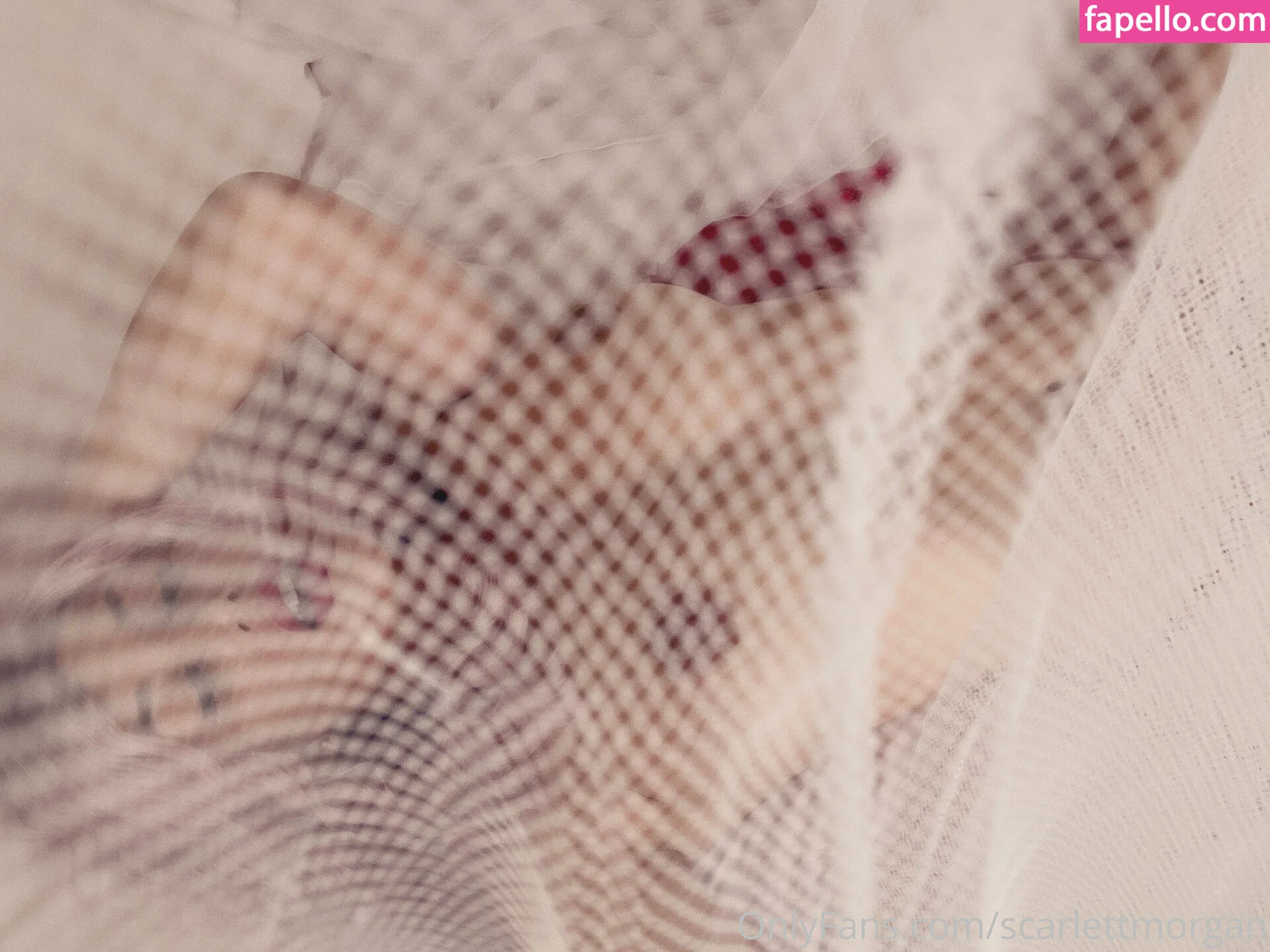 Scarlett Morgan Onlyfans Photo Gallery 