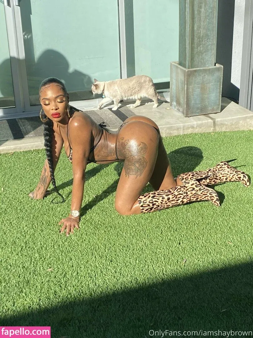 Iamshaybrown Onlyfans Photo Gallery 