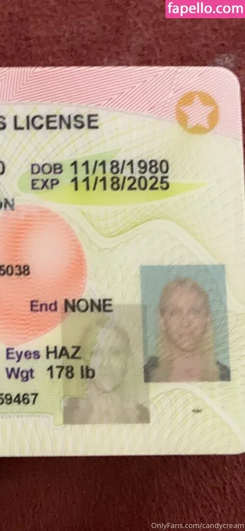 candycream Onlyfans Photo Gallery 