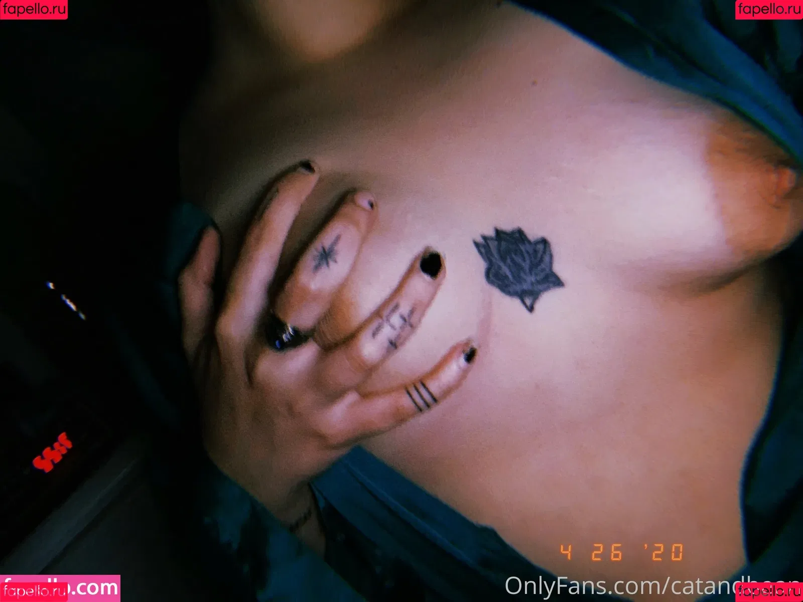 catandbean Onlyfans Photo Gallery 