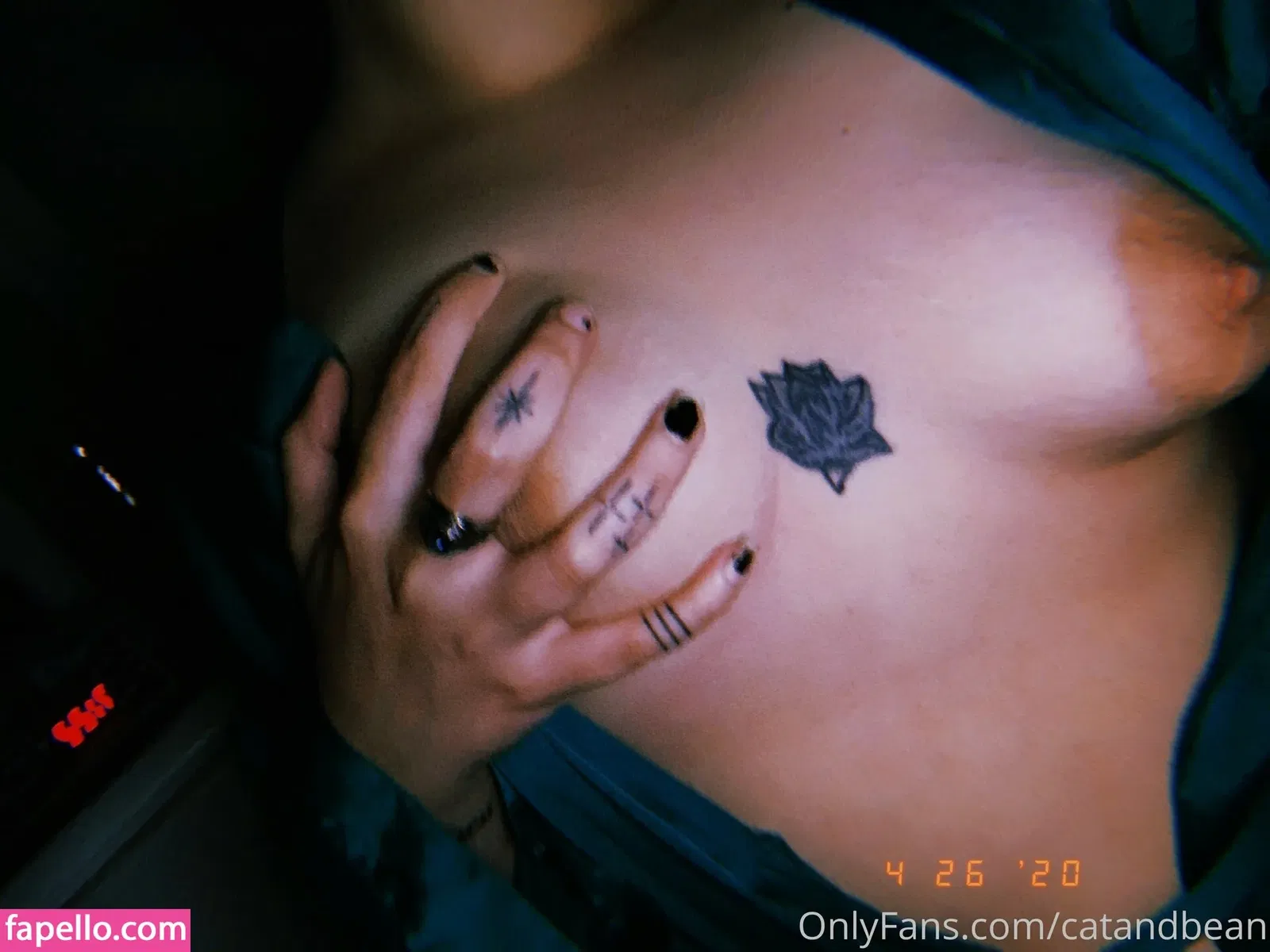 catandbean Onlyfans Photo Gallery 