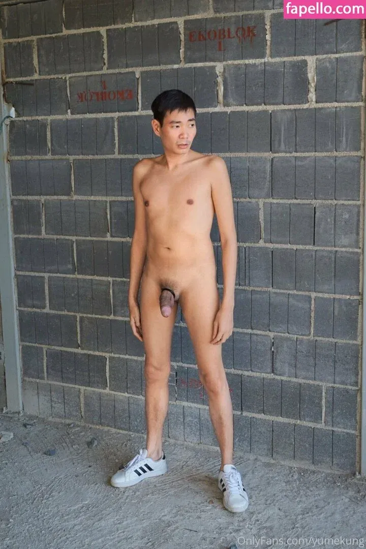 yumekung Onlyfans Photo Gallery 