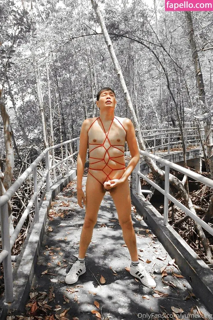 yumekung Onlyfans Photo Gallery 