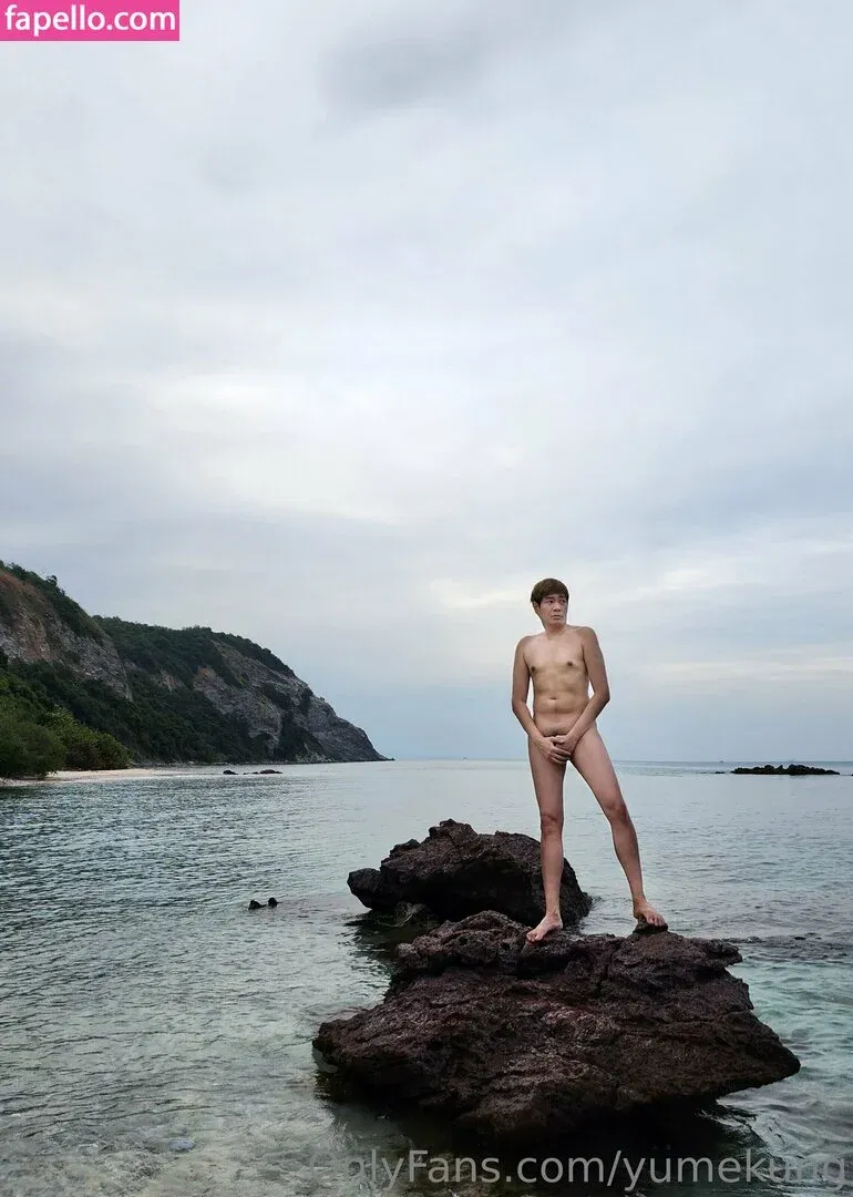 yumekung Onlyfans Photo Gallery 